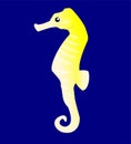 Yellow seahorse